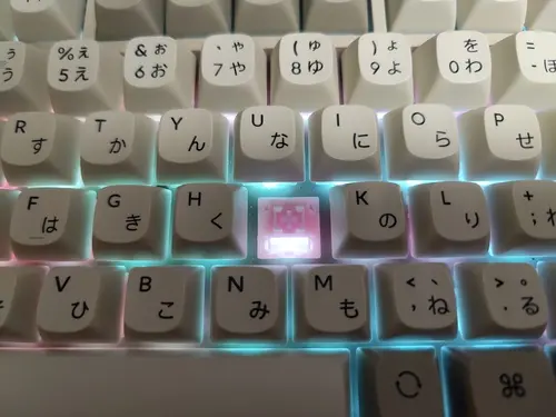 光は透過するようになっている